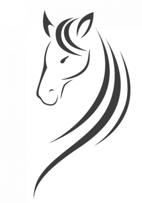 gallery/horse_head